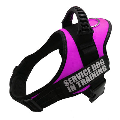 Personalized Custom Reflective Breathable Dog Harness