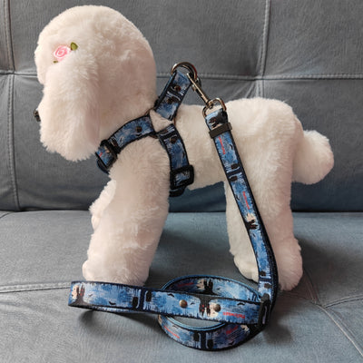 Cute Pet Dog Print Leash Chest Harness sets for adventure