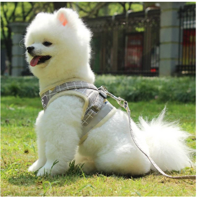 Cute dog traction rope vest walking dog rope for games